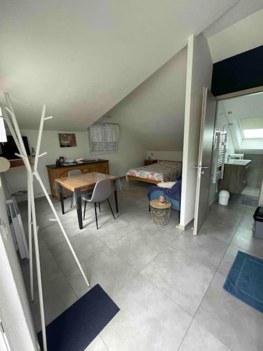 Studio Tout Equipe Aux Pieds Des Vosges Leimbach Zewnętrze zdjęcie